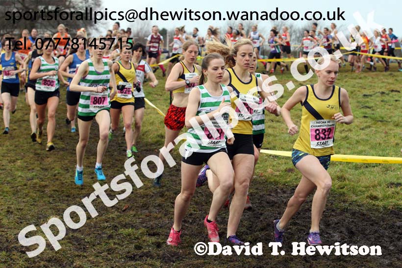 Senior womens North Eastern Cross Country, Aykley Heads, Durham. Photo: David T. Hewitson/Sports for All Pics